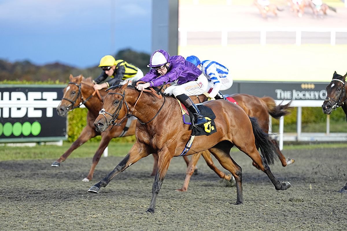 Barton Stud (@bartonstud1) on Twitter photo Monarch’s Gold wins impressively on debut tonight at Kempton Park 🥇
Congratulations to breeders <a href="/brightwaltstud/">Brightwalton Stud</a> and owners Amo Racing.
Sold by Barton last year in Tattersalls Book 1.
#BartonWinners Monarch’s Gold wins impressively on debut tonight at Kempton Park 🥇
Congratulations to breeders <a href="/brightwaltstud/">Brightwalton Stud</a> and owners Amo Racing.
Sold by Barton last year in Tattersalls Book 1.
#BartonWinners