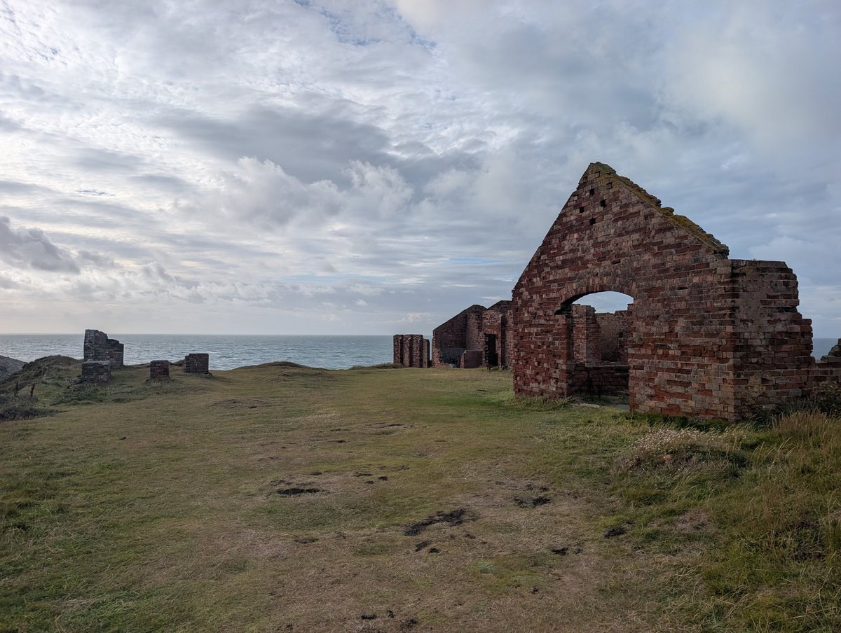 Dylan's Tours of Wales tweet media