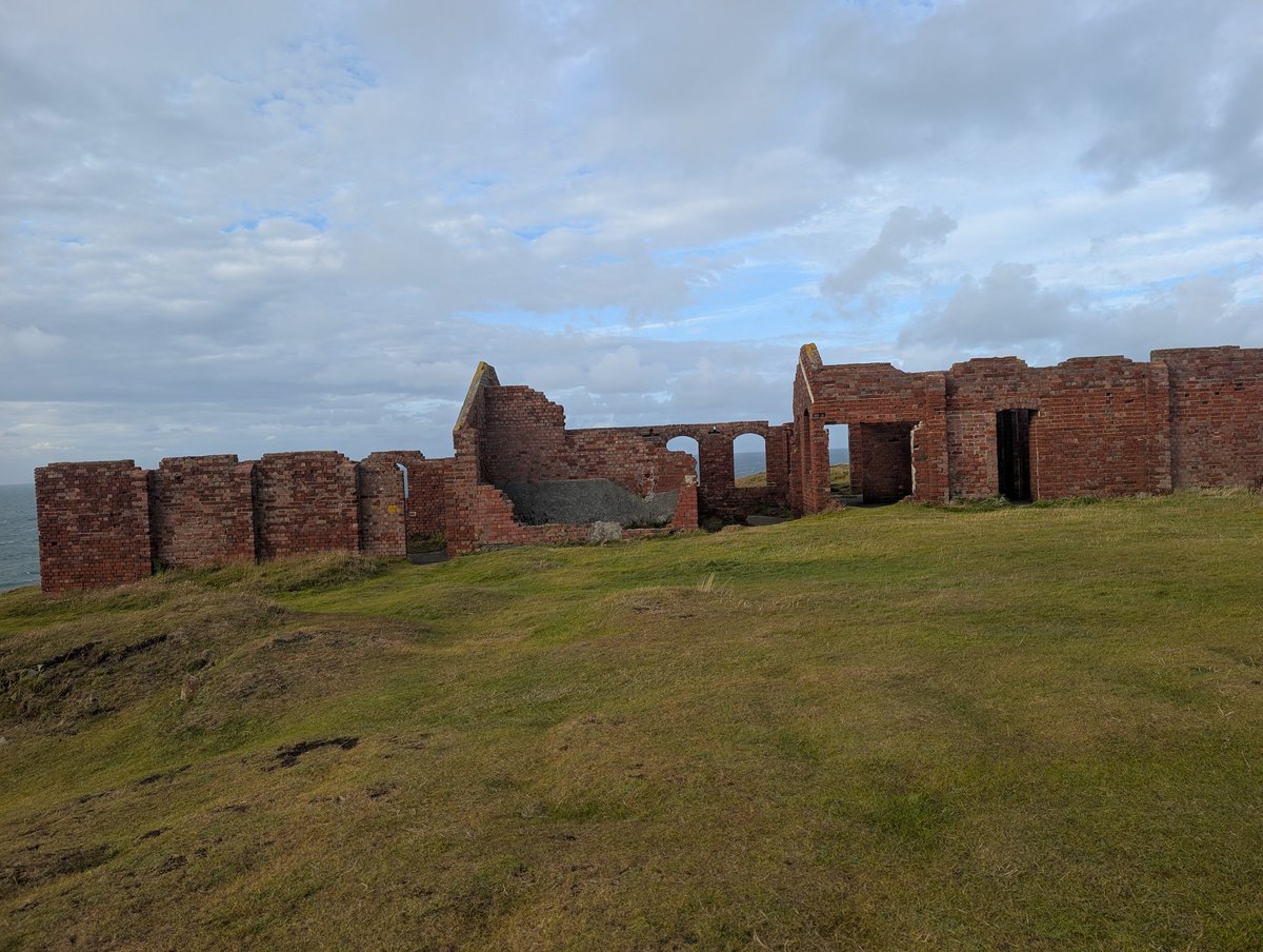 Dylan's Tours of Wales tweet media