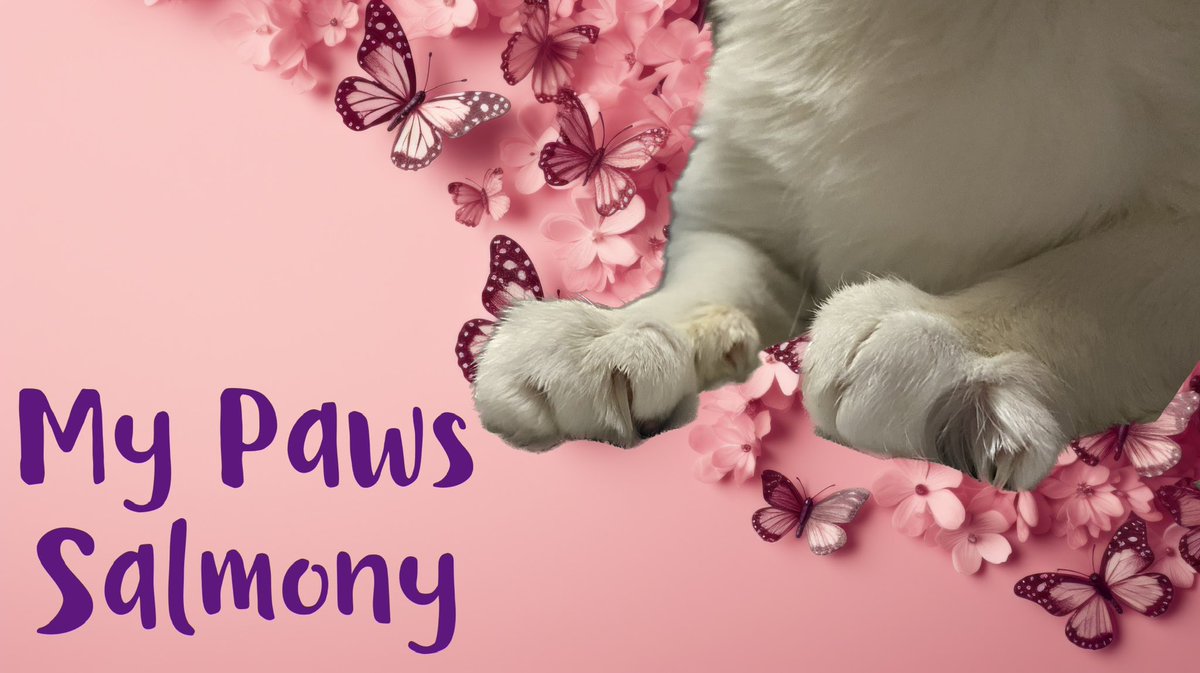 #ACandleForCooperMackerel My paws in the circle for Cooper Mackerel