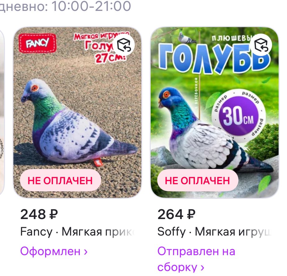 Вупсень, я тебя поняла
Скоро приедут две женщины. Каждому в гнездо