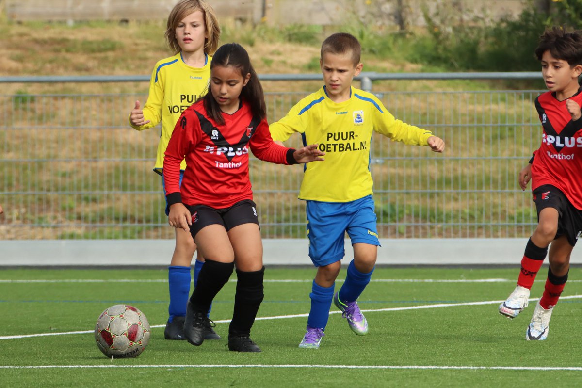 Vitesse Delft tweet media