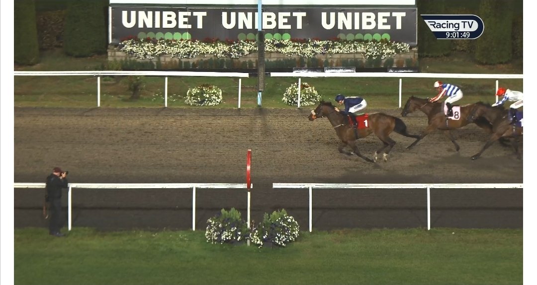 DG_DMAC's tweet image. Powdering tipped at 9s gets the job done in the last at kempton 🐎🚀