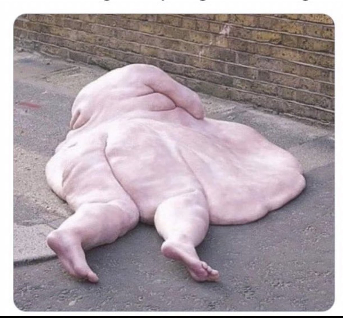 Juan💎🙌 tweet media