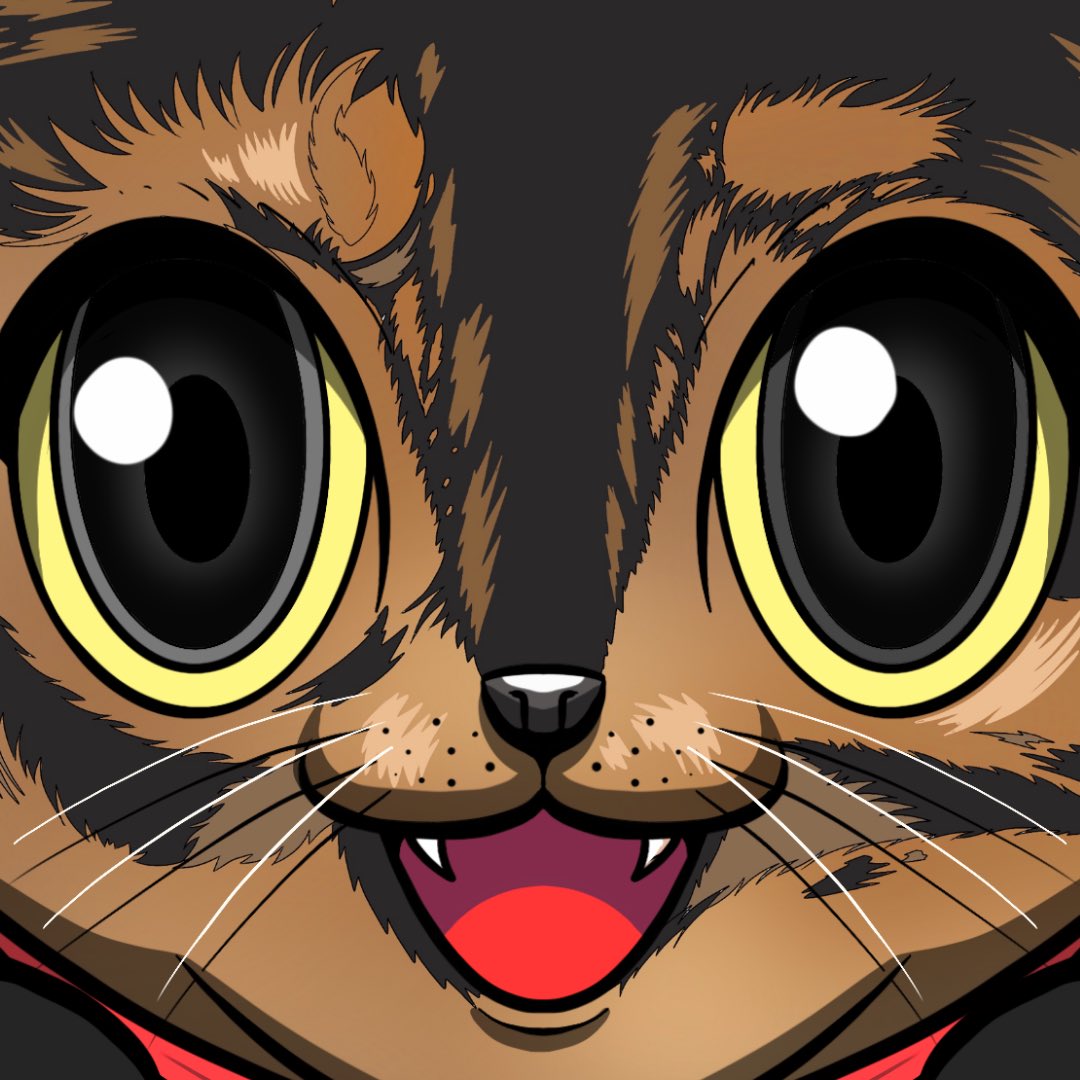 $INDI (@indi_sonic) on Twitter photo 