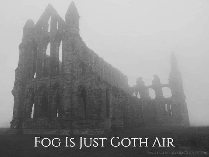 whotfisjovana's tweet image. 