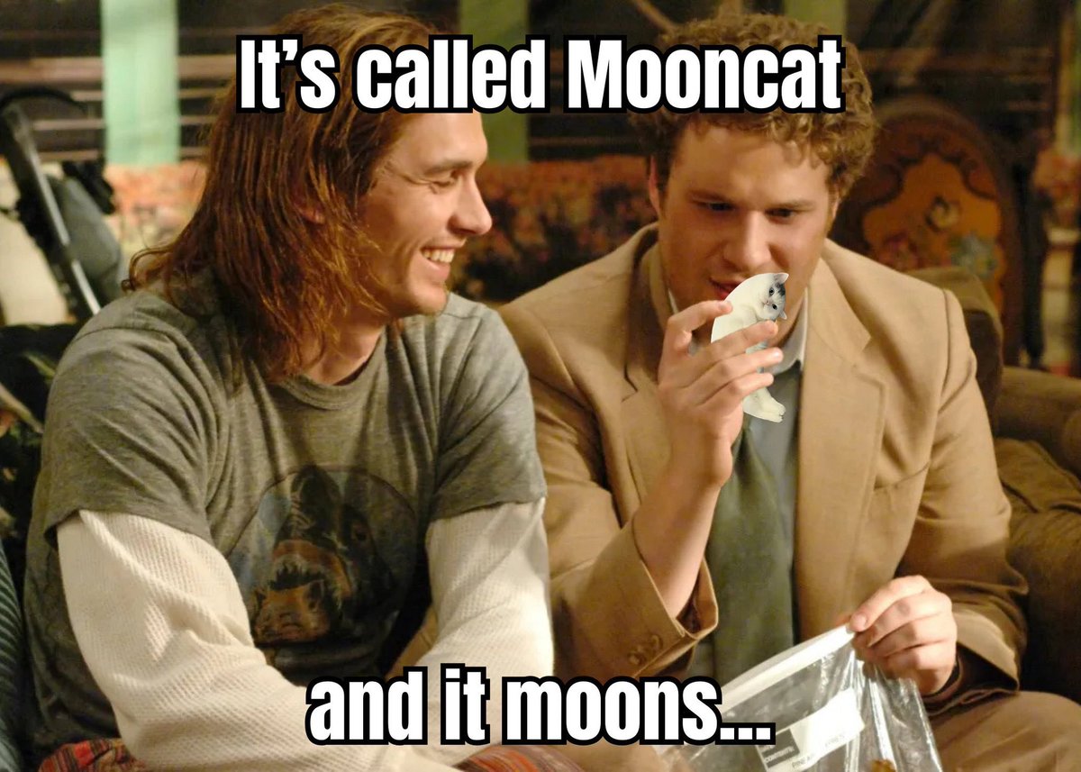 Mooncat tweet media