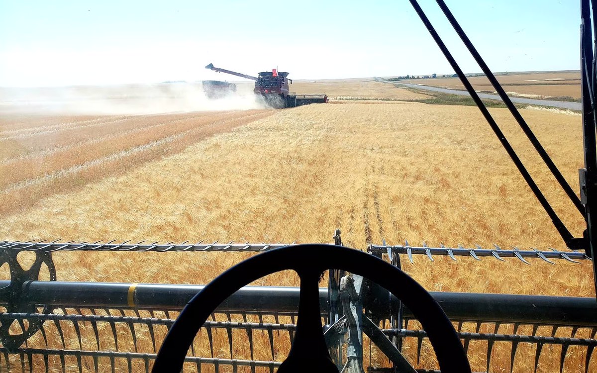 RealAgriculture (@realagriculture) on Twitter photo RealAg Radio: Corn price blips, seed regulations, and how farmers feel about grain movement, Sept. 3, 2025 ow.ly/TE4G50WQIaZ #cdnag #ontag #westcdnag RealAg Radio: Corn price blips, seed regulations, and how farmers feel about grain movement, Sept. 3, 2025 ow.ly/TE4G50WQIaZ #cdnag #ontag #westcdnag
