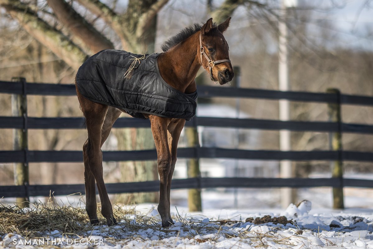 Samantha Decker (she/her) 📷 tweet media