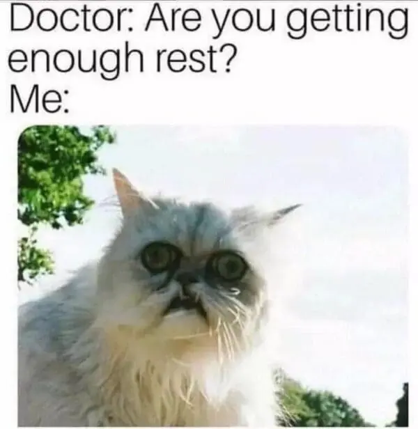 talk_insomnia's tweet photo. Why is this me

#insomnia #cantsleep https://t.co/DeSkDWdLHH
