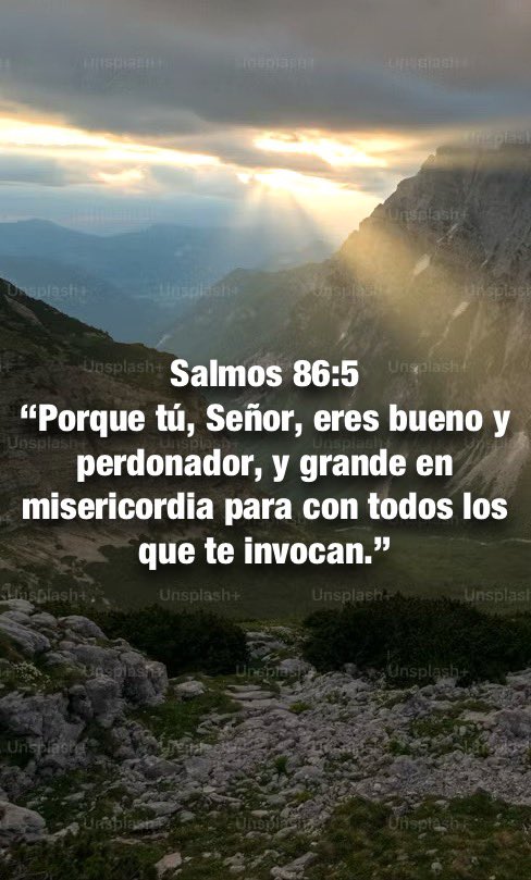Salmos 130:3-4
“Señor, si te fijaras en nuestros pecados, ¿quién podría sostenerse en tú presencia?
Pero en ti hallamos perdón,
para que seas reverenciado.”