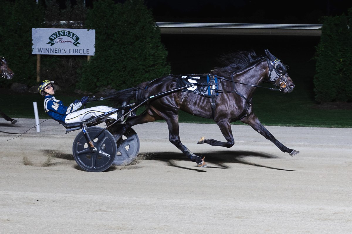 ONTSSNews's tweet image. In OSS Gold action tonight at @GrandRR for 2yoft, Flowing Tribute set a 1:55.2 track record, while HP Crystaline broke her maiden.
Tiffany Chantel Photography
Story here:
oss.ontarioracing.com/flowing-tribut…
#betontario