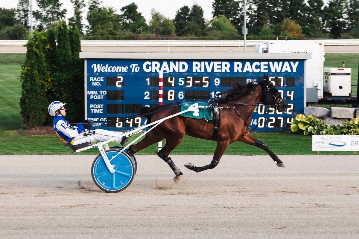ONTSSNews's tweet image. In OSS Gold action tonight at @GrandRR for 2yoft, Flowing Tribute set a 1:55.2 track record, while HP Crystaline broke her maiden.
Tiffany Chantel Photography
Story here:
oss.ontarioracing.com/flowing-tribut…
#betontario