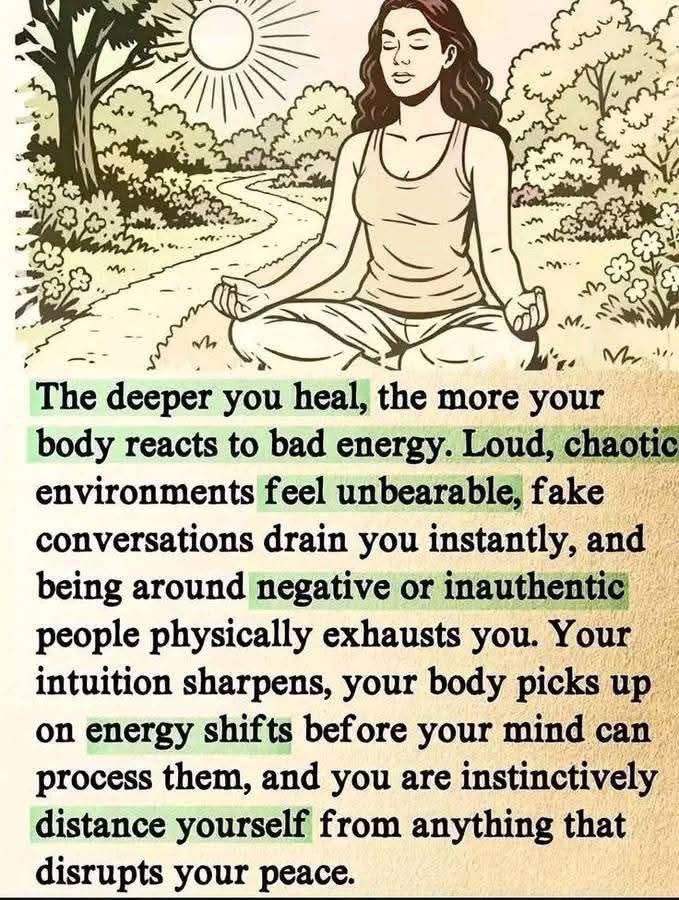 🧬Maxpein🧬 tweet media