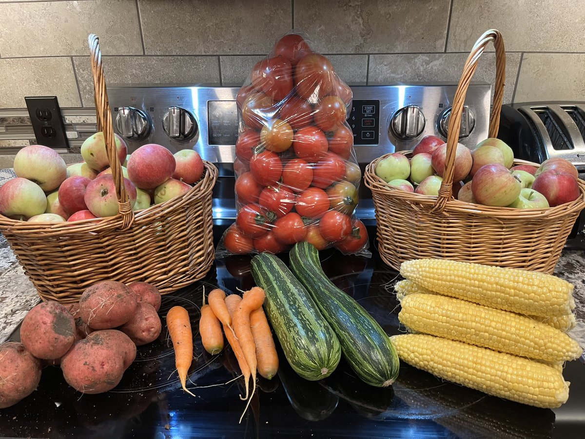 20 minutes in the garden = supper and a make work project or two….