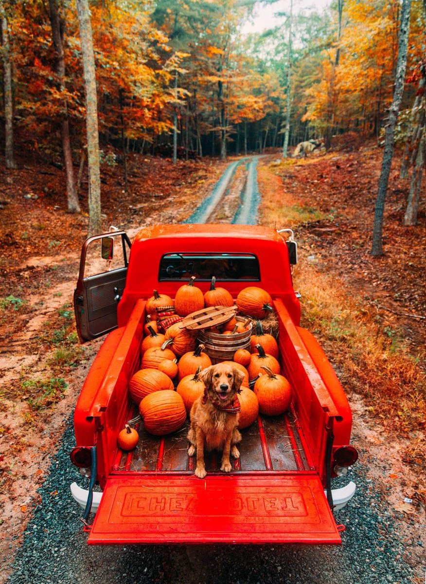 mami♡ Colombiana Mami💛💛💙❤️