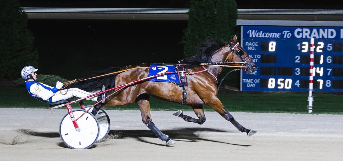 ONTSSNews's tweet image. In OSS Gold action tonight at @GrandRR for rookie trotting colts, The Green Gazoo tied the 1:56.3 track record, while Strobe Lite broke his maiden.
Tiffany Chantel Photography
Story here:
oss.ontarioracing.com/the-green-gazo…
#betontario