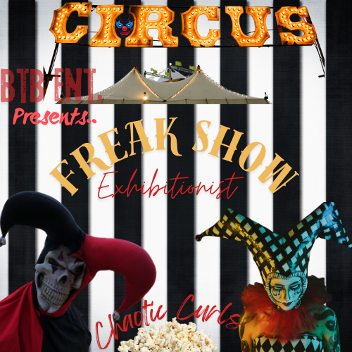 Wild Curls tweet media