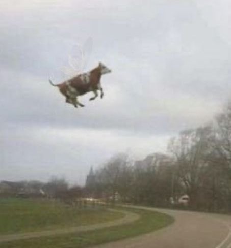 난 사실 이젠별생각도없고
하늘나라가는날만 기다리고있음,