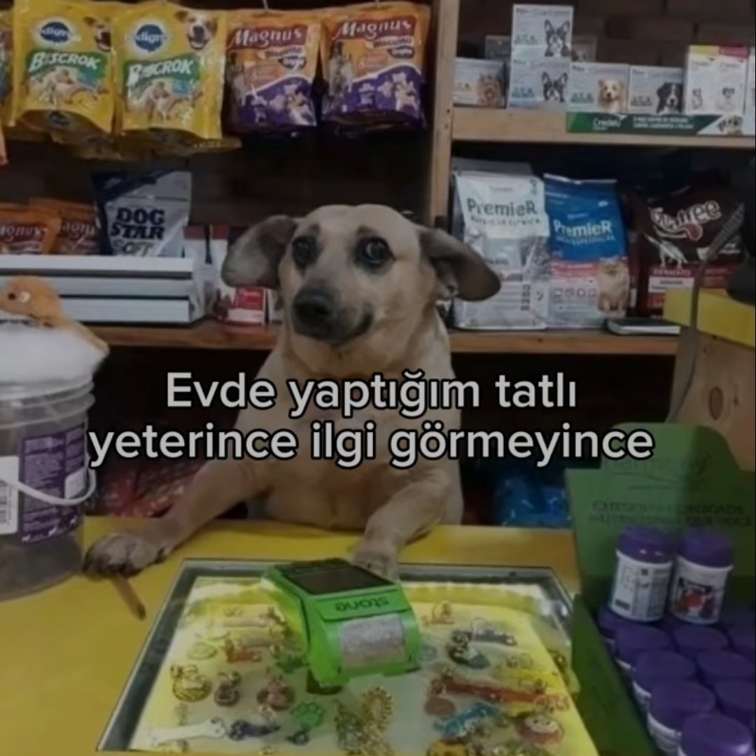 ANLIK (@anlikmod) on Twitter photo 