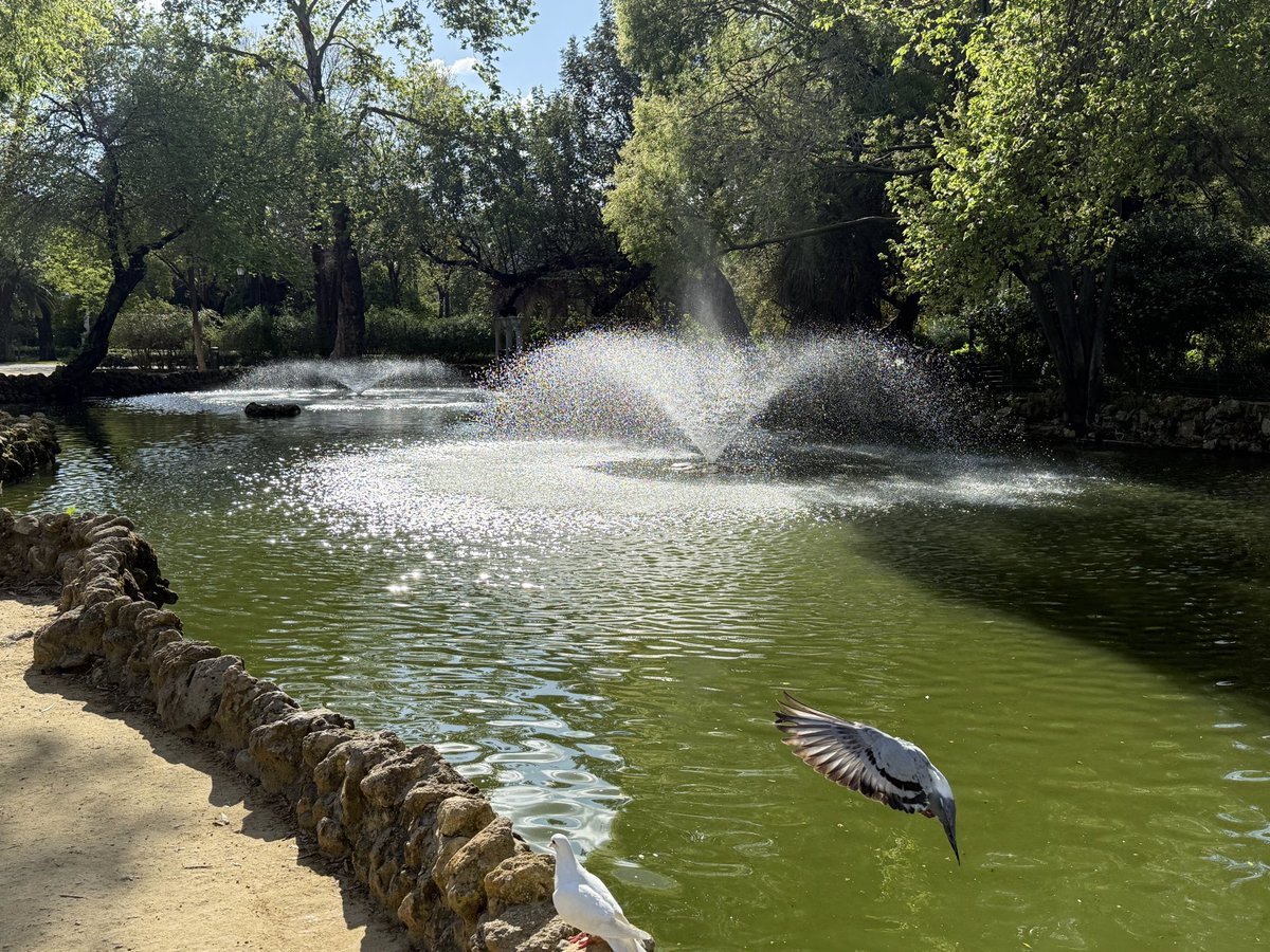 LetsGoKayaking's tweet photo. Wednesday, 3rd September

Today's #DailyPictureTheme is 'Pond'

RT or reply with your own photo https://t.co/XX1F4WAMSF
