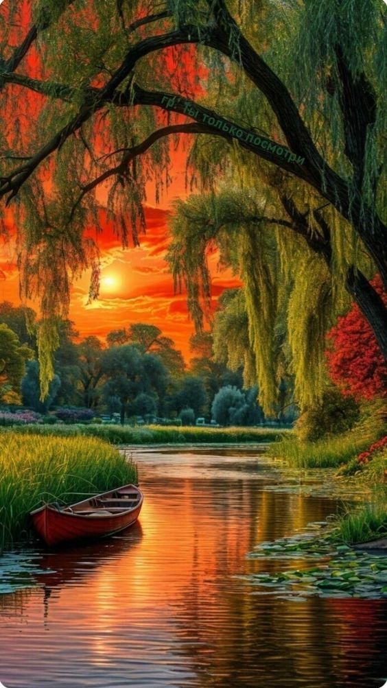 Good Morning everyone 🌻♥️🌹