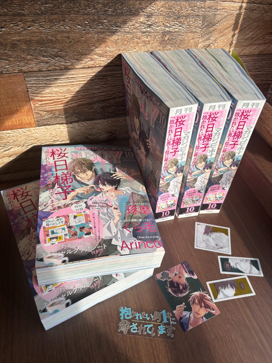年下彼氏の恋愛管理癖 非売品　パズル　桜日梯子　だかいち 年下彼氏の恋愛管理癖 非売品 パズル 桜日梯子 だかいち