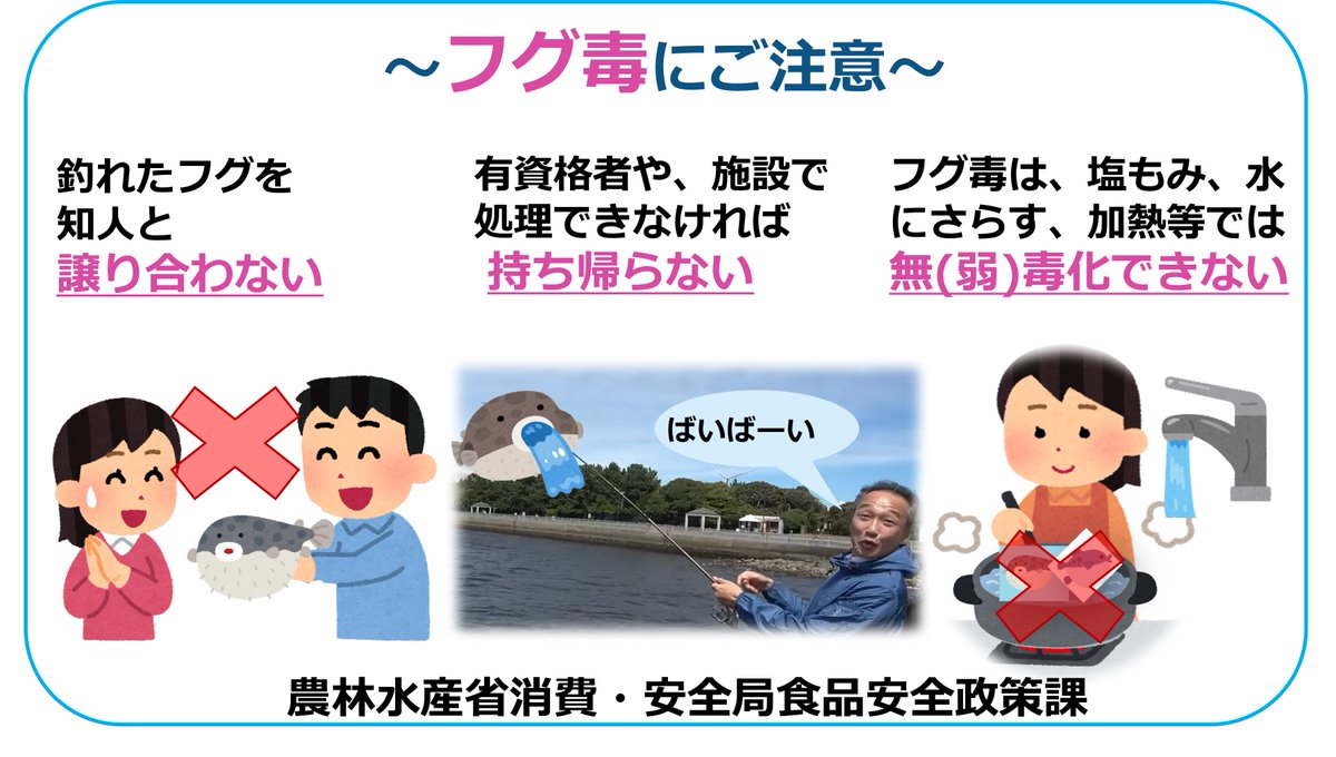 釣ったフグ、もらったフグ、ちょっと待って！ #フグ毒 による #食中毒
