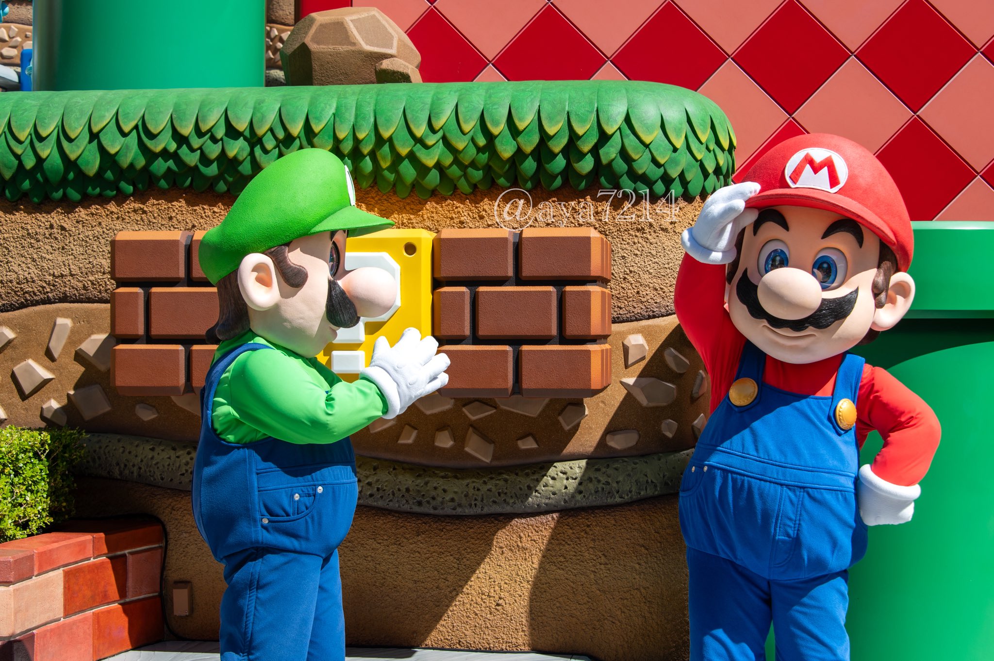 ラテネコ⭐︎ありがとうございます♡ YouTube