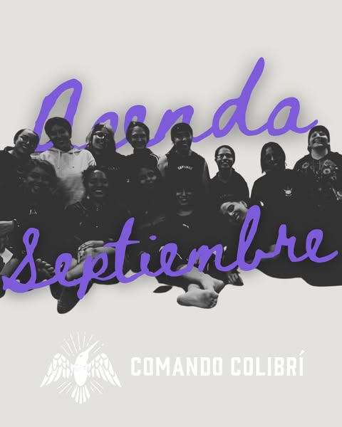 Comando Colibrí tweet media