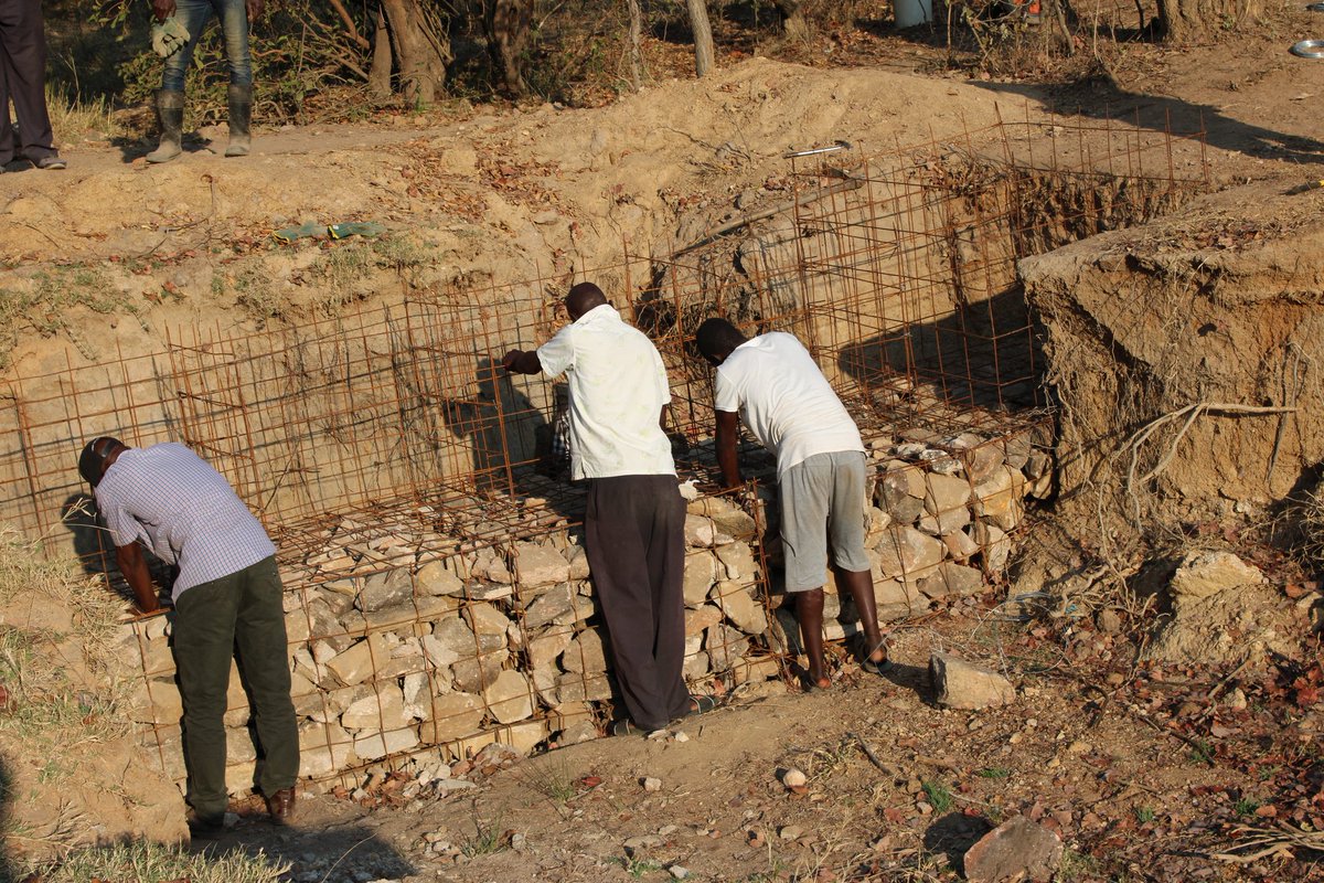 🌱 Restoring land, restoring hope!
In Masvingo District, communities are taking the lead in restoring gullies under the Drylands Sustainable Landscapes Impact Program. Through collective action, they’re reclaiming degraded land <a href="/faosfsafrica/">FAO Subregional Office for Southern Africa</a> <a href="/EMAeep/">E.M.A</a> <a href="/FAOForestry/">FAO Forestry</a> <a href="/forestrycom1/">Forestry Commission Zimbabwe</a>