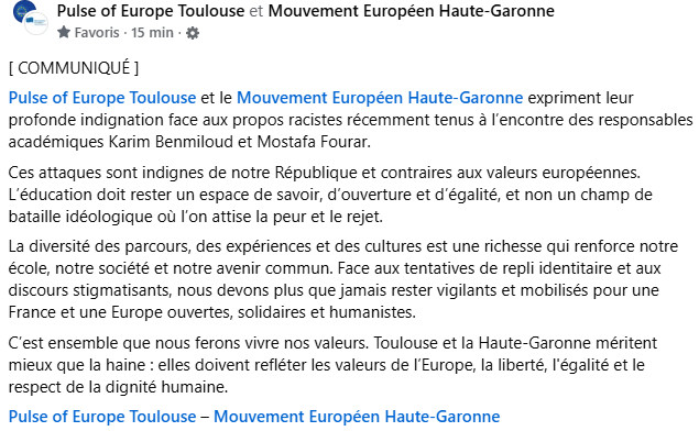 Pulse of Europe Toulouse #FBPE tweet media