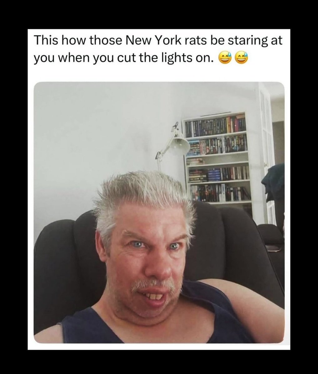 🐀---👀((𝚜𝚑𝚞𝚍𝚍𝚎𝚛𝚜)) 😂