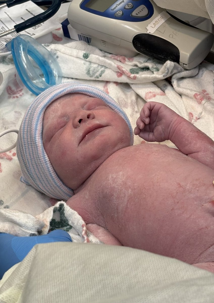 Adler Leadlove-Misner tweet media