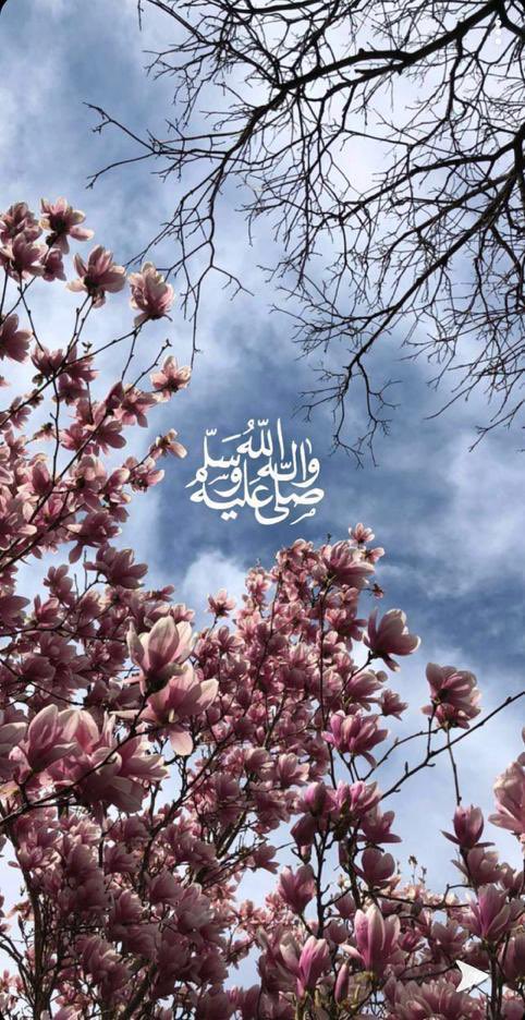 #بوح_آخر_الليل 

🌱🌦️
لطف الله لا يفارق العباد
ورحماته لا تنقطع 
ومن استبشر جاءته البشرى
#صيام_الخميس 

                     #تصويري
                        🇺🇸 رايتش موند