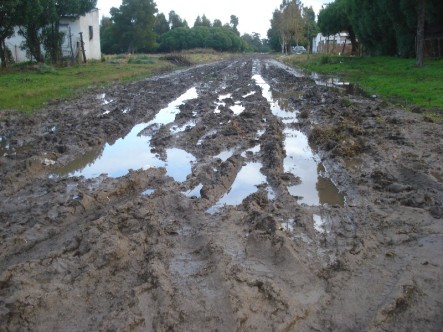 El asfalto se inventa en el año 500 AC

Moreno en pleno 2025: