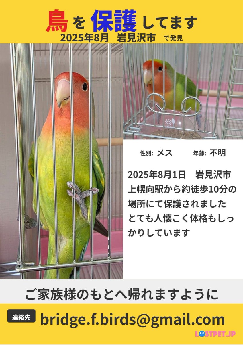 Bridge_f_birds's tweet photo. 【拡散希望】ご家族様のもとへ帰れますように https://t.co/7lIuERKWbR