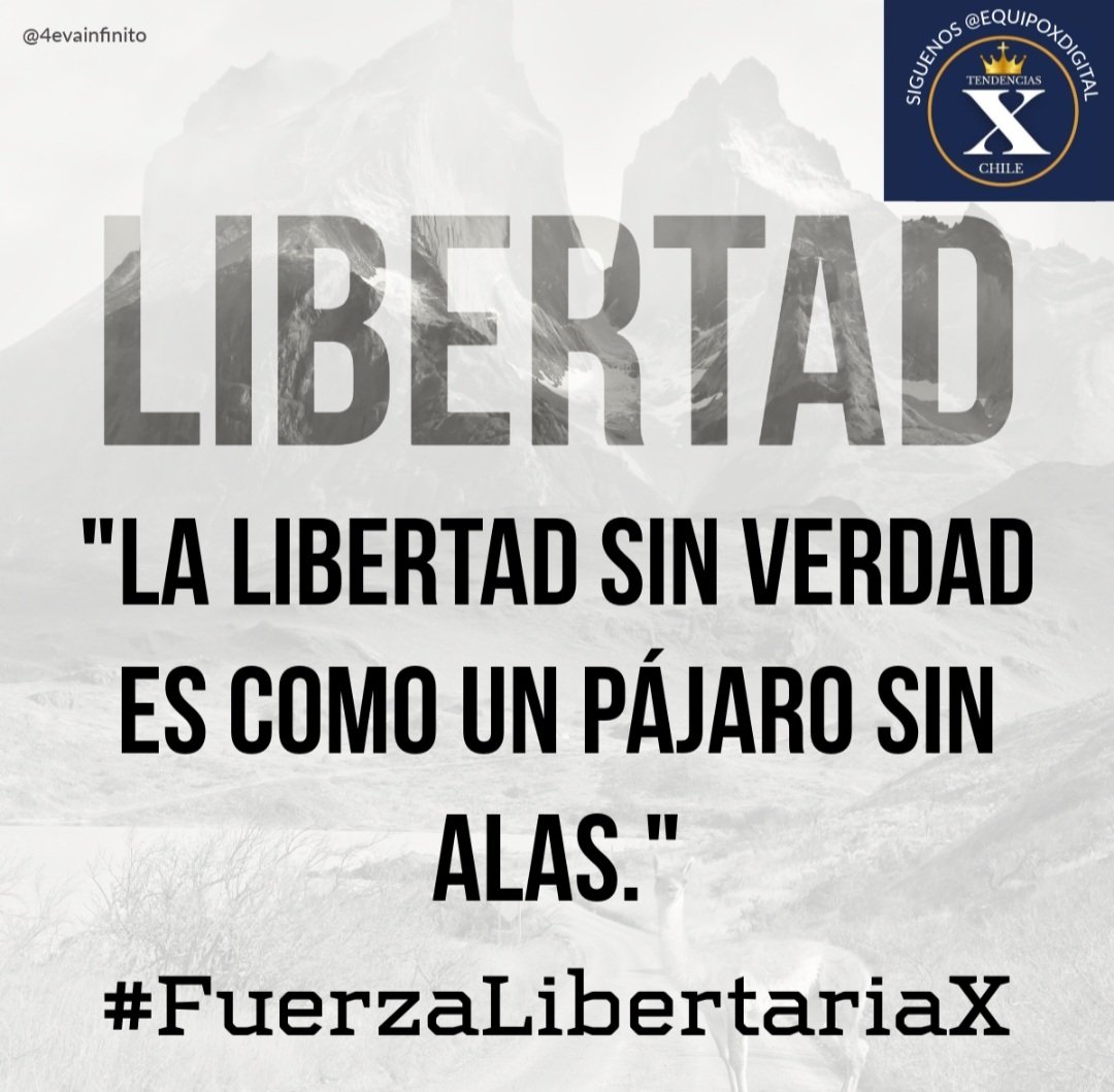 Libertaria en Vanguardia tweet media