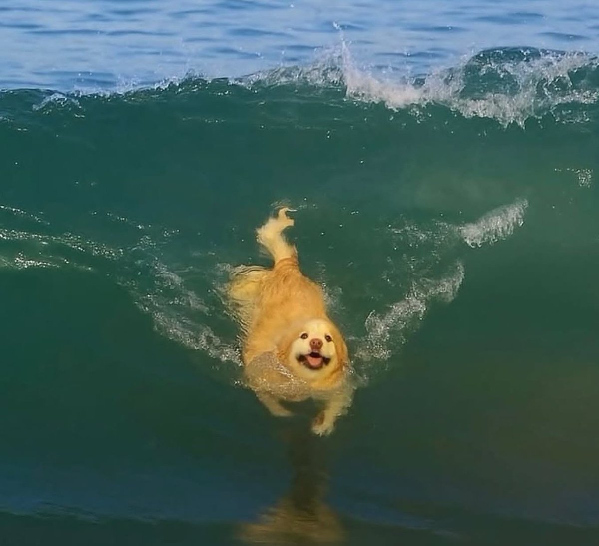 YO SIN VE LAS NOTISIA