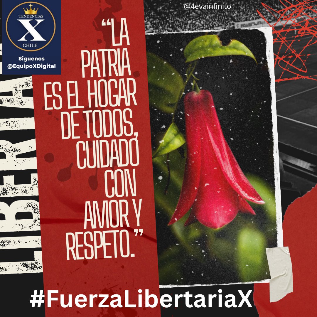 🇳🇿🇨🇱Con ADN anticomunista Anticommunism DNA tweet media
