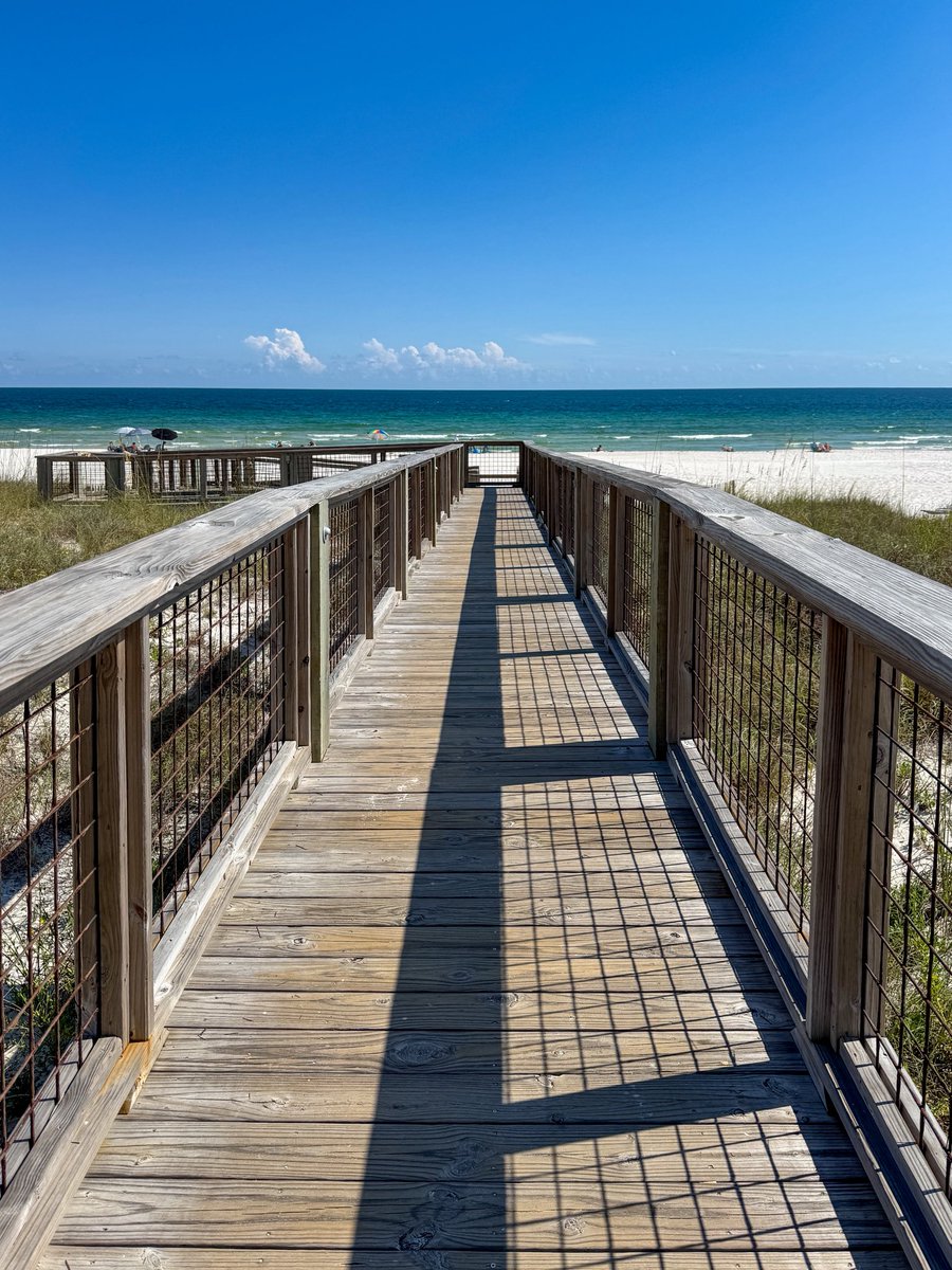 Zachary 🏙️ (@zachishere) on Twitter photo 