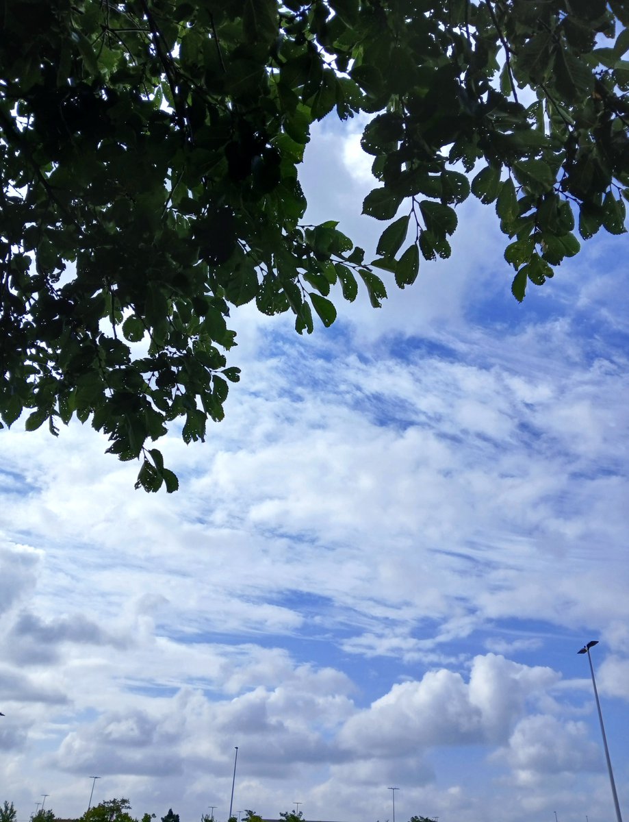 "Post a picture YOU took. Just a pic. No description."