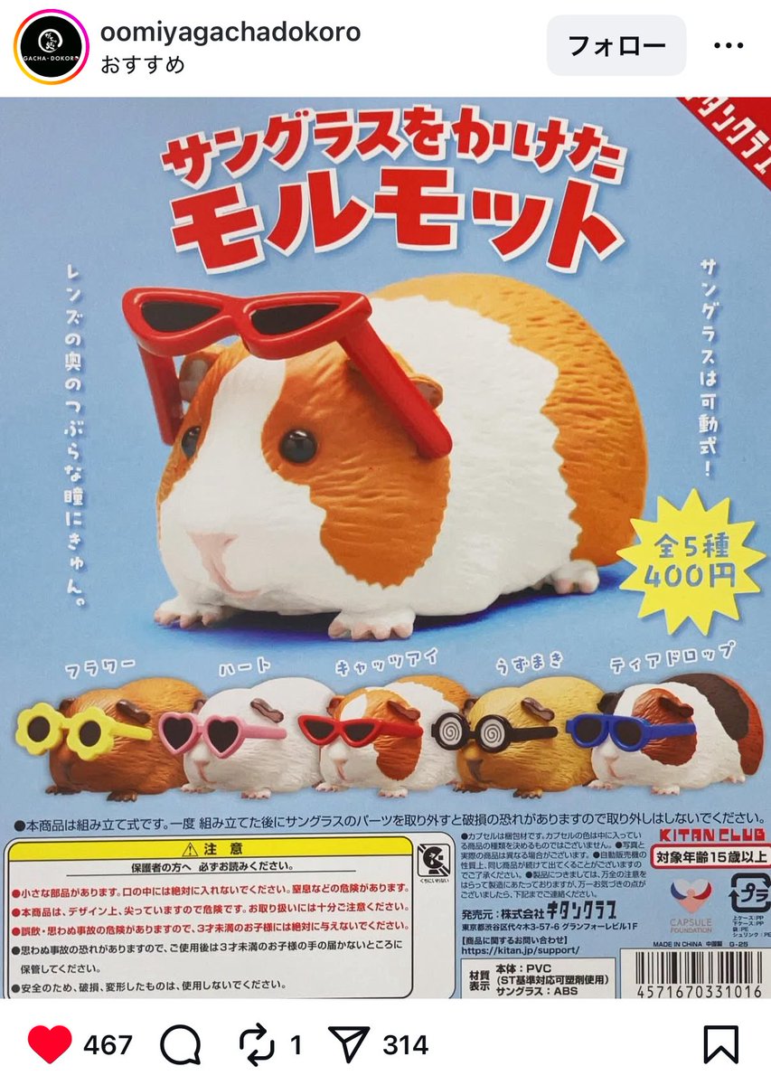 こ、、、、これは