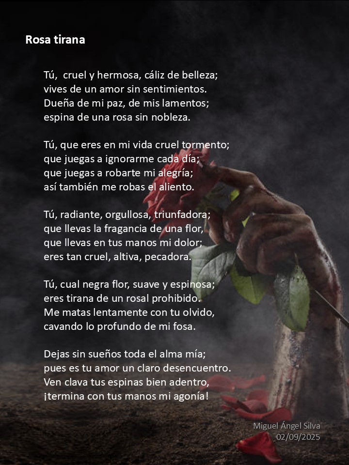 MASilva's tweet image. Rosa tirana...