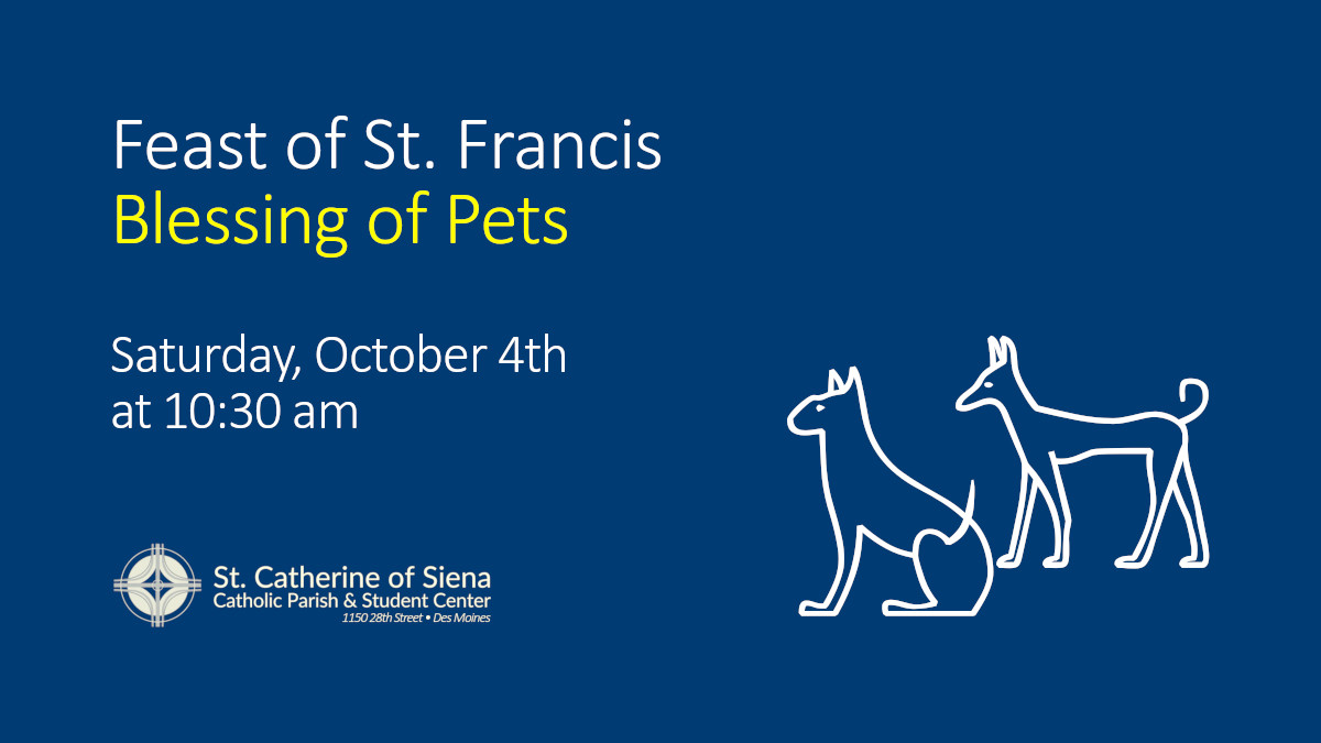 StKatesDrake's tweet image. 