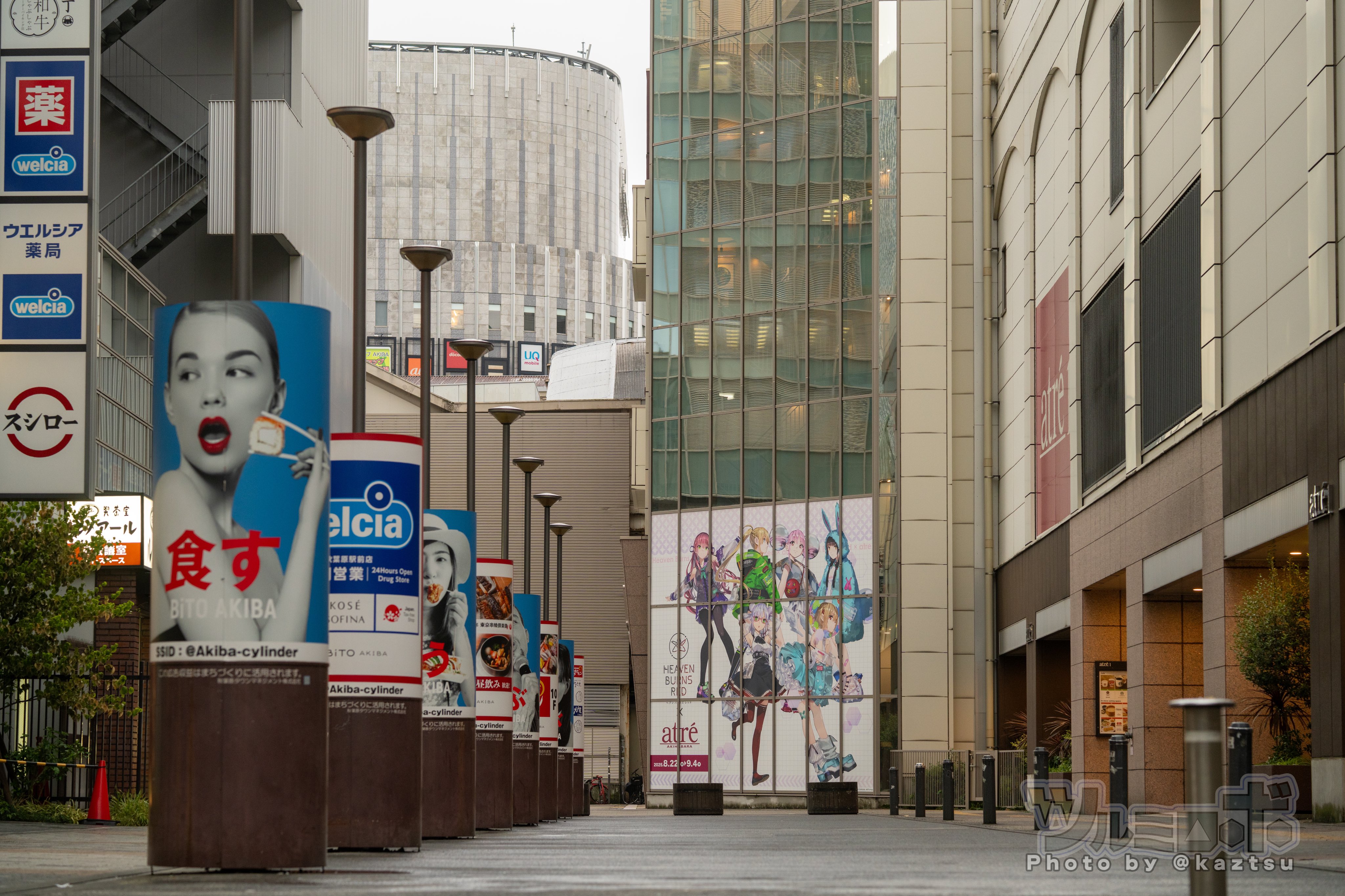 kyomo　おまとめ三点 Qoo10] MITOMO 【共同購入】 美友 シリーズ 505 美