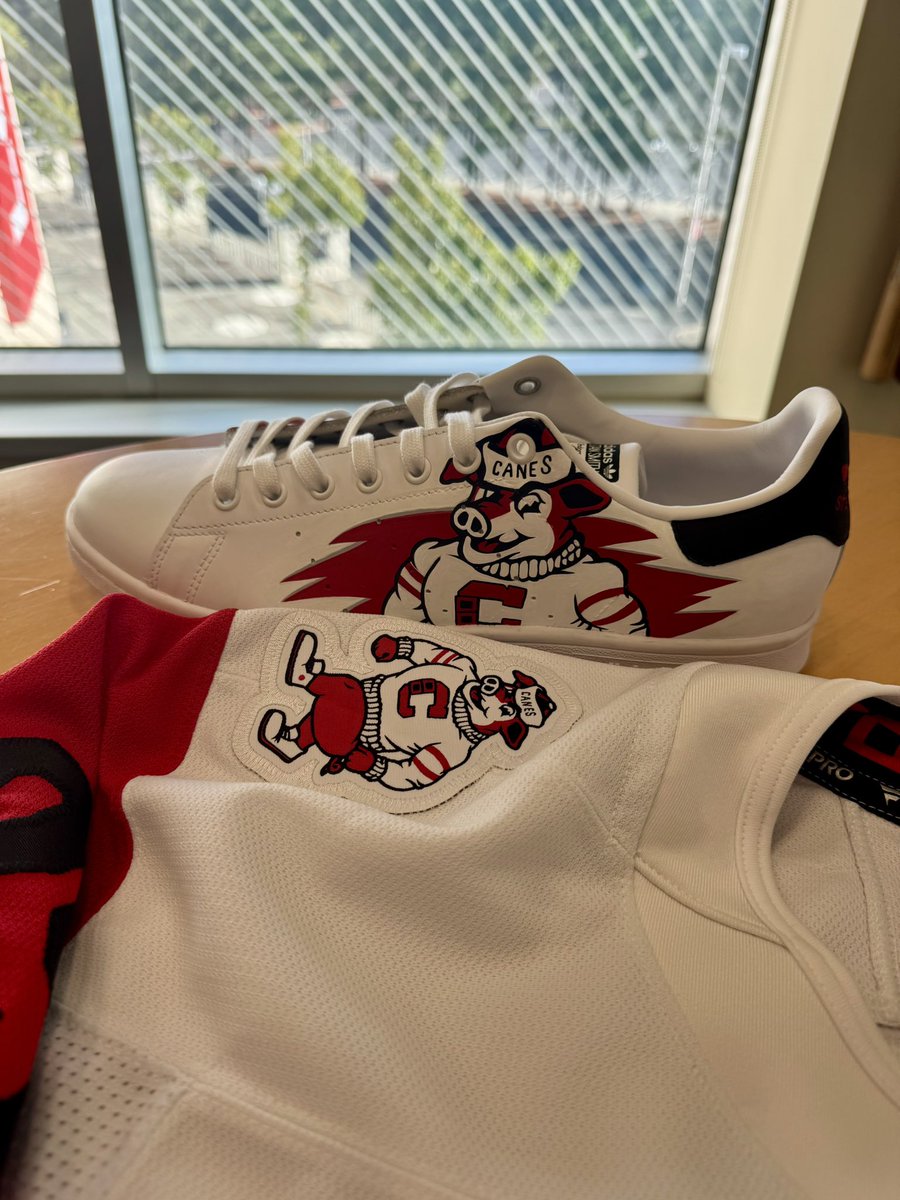 Shoutout to local Raleigh artist, <a href="/isabelladearr/">Isabella Dearr</a>, for hand painting these custom Stan Smith’s for me. The artistry looks like a print - it’s that good. 😍