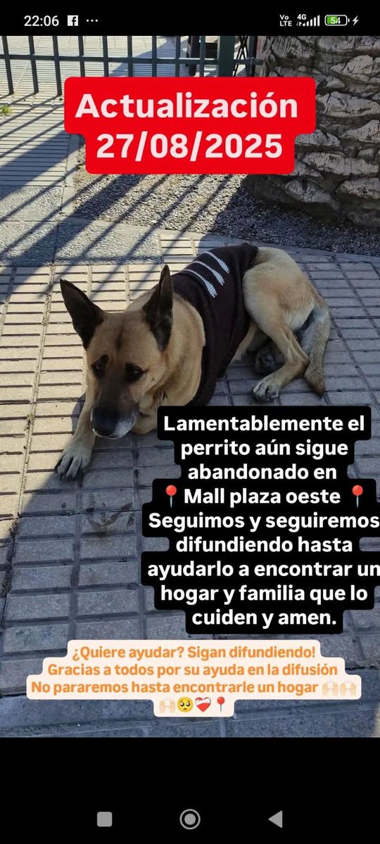 Santiago Mall Plaza Oeste, busca a su familia éste viejito 🙏🙏🙏