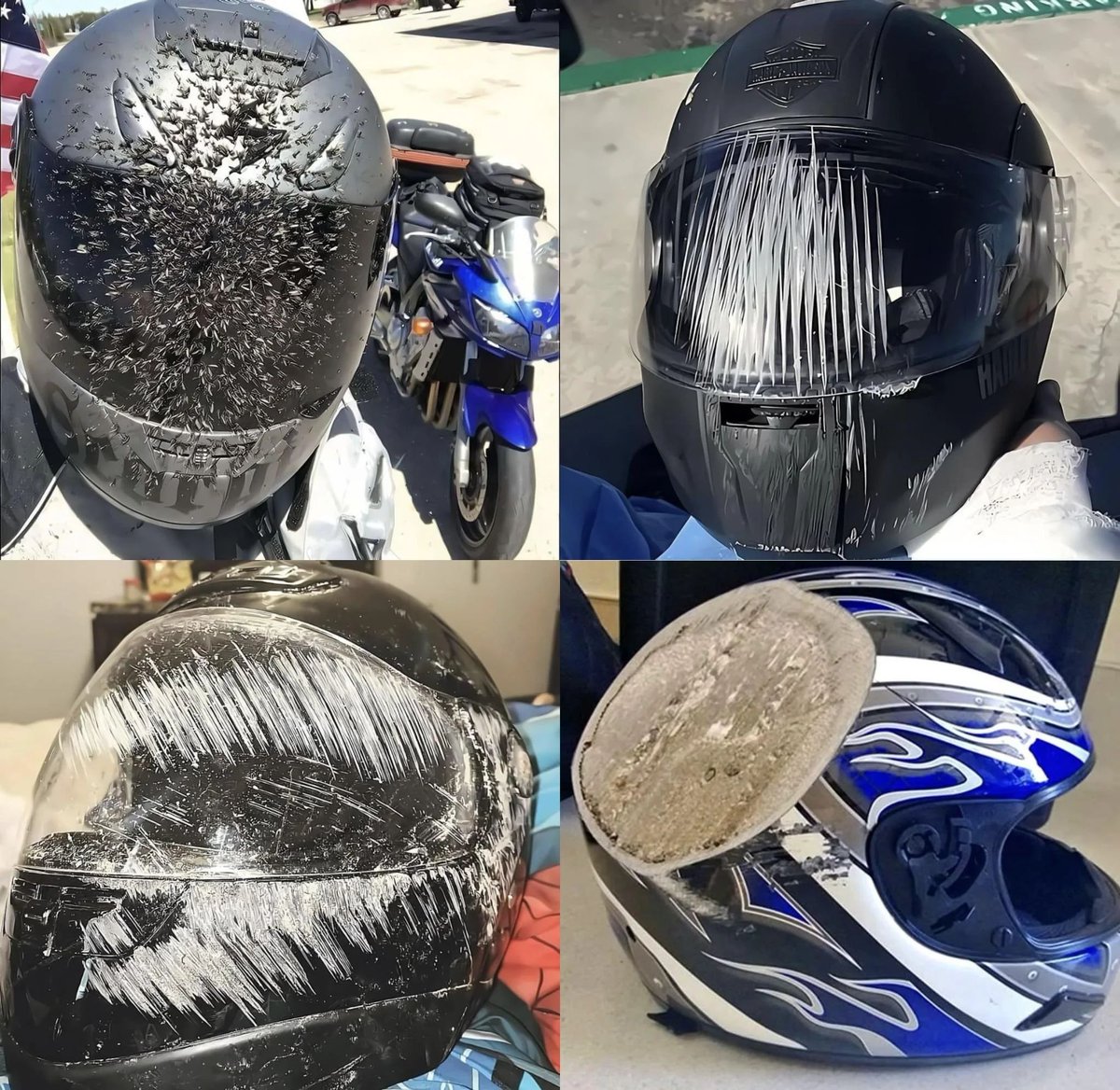 LuxAlgo's tweet photo. The helmet is risk management.

Your face is your account.

Hope this helps. https://t.co/xa3FKUWpVu