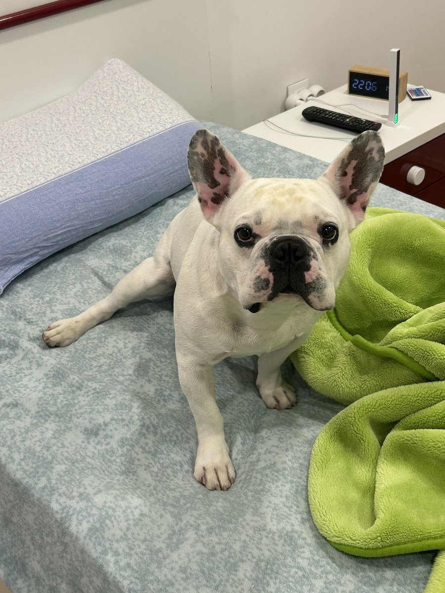 ftncrazy tweet media